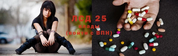 ПСИЛОЦИБИНОВЫЕ ГРИБЫ Беломорск