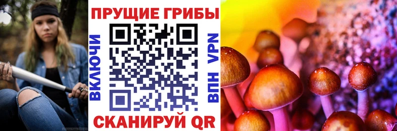 Галлюциногенные грибы мицелий Семикаракорск